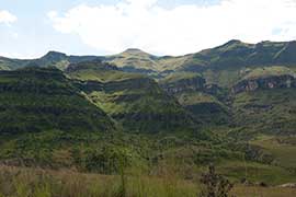 sanipass